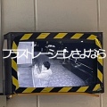ねこぜなおとこ、重音テト - フラストレーションさよなら