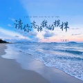 请你忘掉我的模样