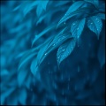 YUME - Warm Lights