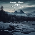 Nature sounds for deep sleep、SLEEPY NUTS - Infinity