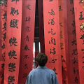 杨雨航 - 千万次想象