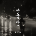 张艺迈 - 醉在风雨中