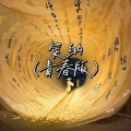 飞羽 - 笑纳