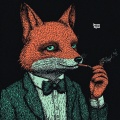 Dream Signal FM - upcoming