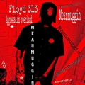 Floyd 313 - Pads