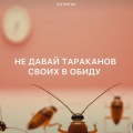 Не давай тараканов своих в обиду