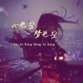 王娜 - 心也空梦也空