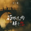 王一佳、DJ豪大大 - 碎银几两解千愁
