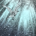 Glass Noose - End Times