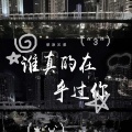 谁真的在乎过你
