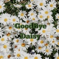 Goodbye Daisy