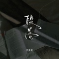 苏星婕 - 段落