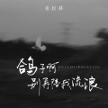 张松林 - 鸽子啊别再陪着我流浪