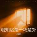 小弑神 - 明知这是一场意外 你要不要来 (小弑神 remix)