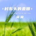窝窝 - 村东头的麦田