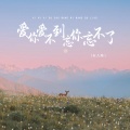 安儿陈 - 爱你爱不到忘你忘不了