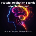 Alpha Waves Sleep Music、Focus Music - Concentration Background Flow