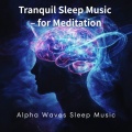 Alpha Waves Sleep Music、Focus Music - Mental Clarity Music