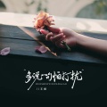 王娜 - 多说一句怕打扰