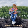 广东太南哥 - 想你的风吹来特呈岛
