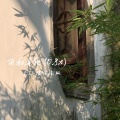 西厢寻他 (0.8x 完整版)