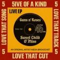 Guns N' Roses - Sweet Child O' Mine - Live 1993