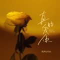 亮声open - 真的爱你