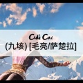 Nguyễn Đình Dũng - Cửu Cai
