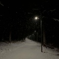 Audereus、Dan Hill - Never Thought (That I Could Love)(Explicit)