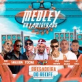Erminio Felix、Mc Tocha、Dadá Boladão、Sheldon、Danilo Bolado、Mc Abalo、Dedé A+D1000 - MEDLEY DO FAMIGERADO - BREGADEIRA RECIFE