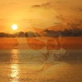 Hajo Kolb - Into The Sun