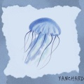 Yanchard观观、Gloria - Jellyfish