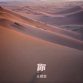 王斌宣 - 高山低谷