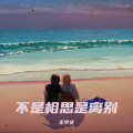 Tyler北海『王学文』 - 不是相思是离别