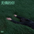 雷震宇 - 送亲歌