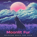 Moonlit Fur