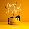 Cat Sleeping Music Project - Sofa Kitty