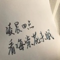 杨弘毅 - 海棠花未眠