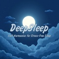 SLEEPY NUTS - Velvet Night