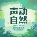 轻松频率 - 大叶黑桫椤