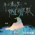 田园 - 你不懂我突然的沉默