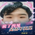 刘雨豪 - 说了再见是否不再见