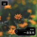 一念生光