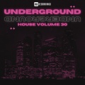 Underground House, Vol. 30