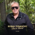 Srce lava