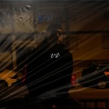 VZ - Cigar nocturno