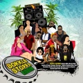 Elephant Man - Wine It For Me