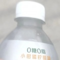 闭关中的魔法师 - 不再回来的青春