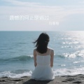 向思思 - 遗憾的何止是错过