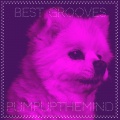 Pumpupthemind - Best Grooves